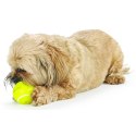 Planet Dog Orbee-Tuff Sport Tennis Ball
