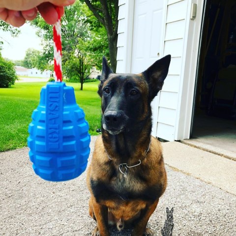 Soda Pup USA-K9 Grenade Reward Toy medium - granat do aportowania (do 15 kg)