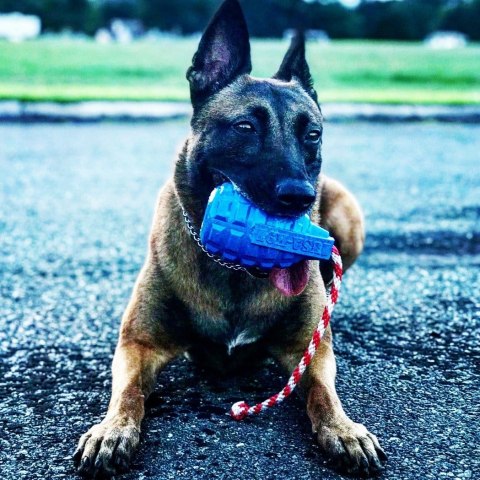 Soda Pup USA-K9 Grenade Reward Toy medium - granat do aportowania (do 15 kg)