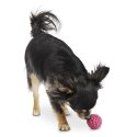 Planet Dog Orbee-Tuff Raspberry - malina dla malutkich piesków