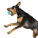 Planet Dog Single Color Orbee Ball Royal (M)